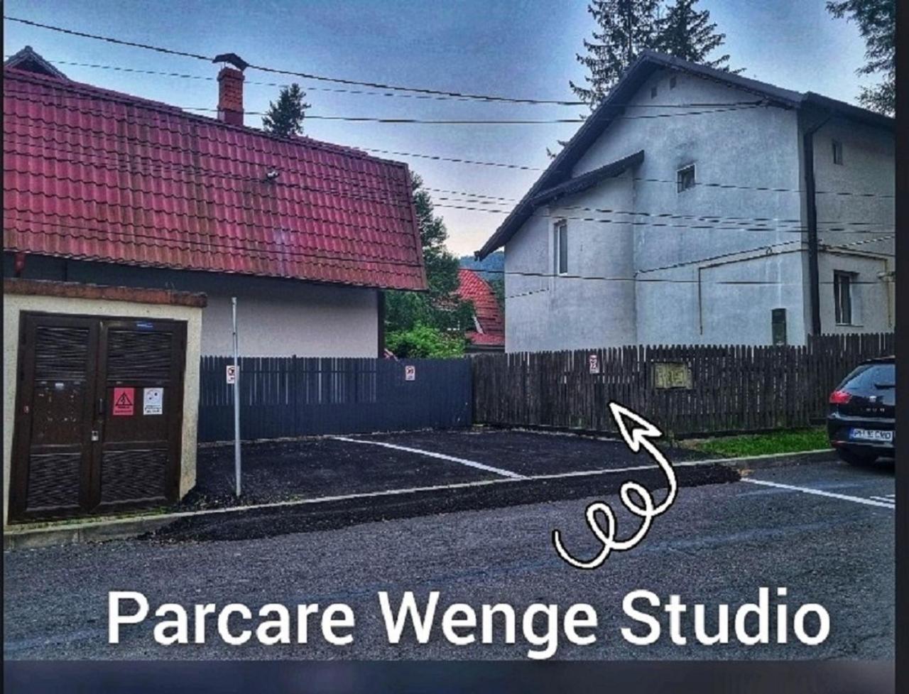 Wenge Studio & Spa Sinaia Exterior foto
